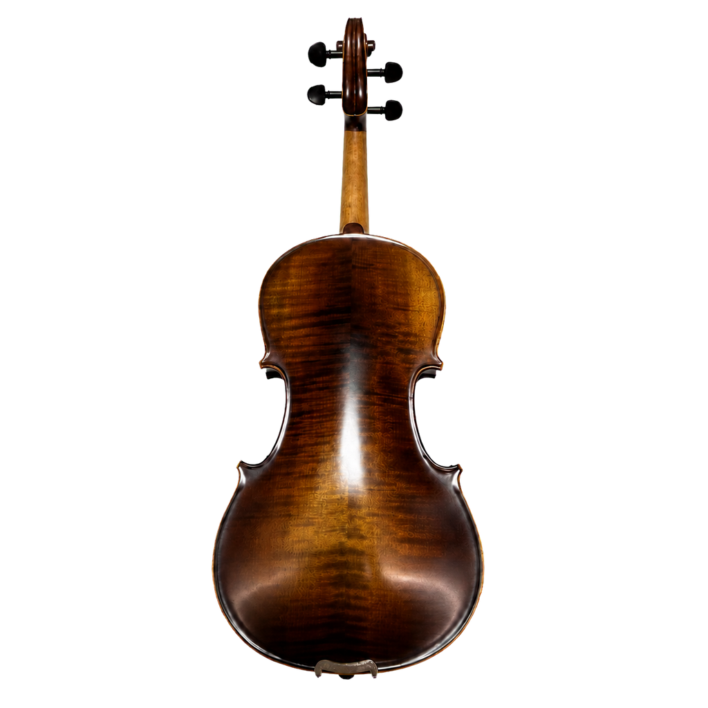 Alunna Violin
