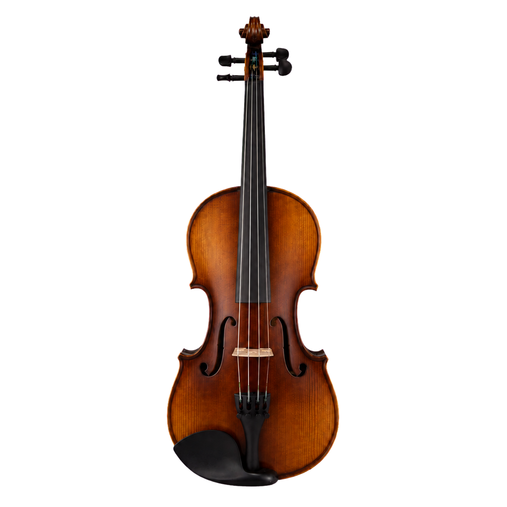 Alunna Viola