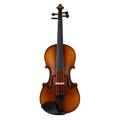 Alunna Viola