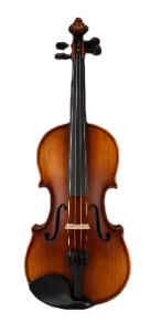 Alunna Violin